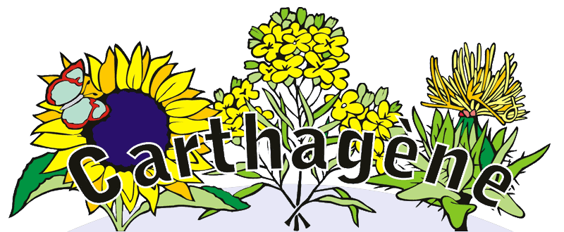 Logo Carthagène